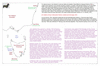kin23 sydney to tasmania_thumb.gif